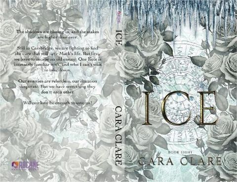 Ice cover