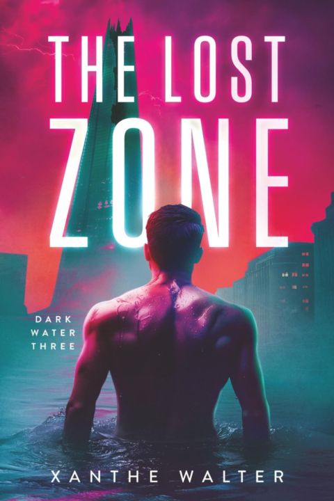 The Lost Zone cover