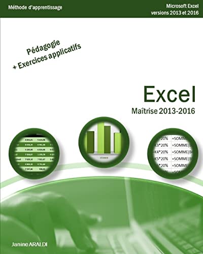 Excel Maitrise 2013 - 2016 cover